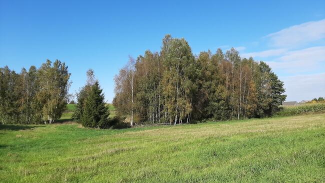 Działka pod zabudowę, Linówek gm. Krasnopol