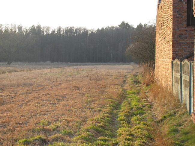 Działka w Ludwikowie, gm. Przygodzice, pow. Ostrów Wlkp.