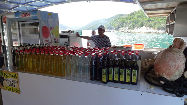 CZARNOGORA ALBANIA Chorwacja na 2026