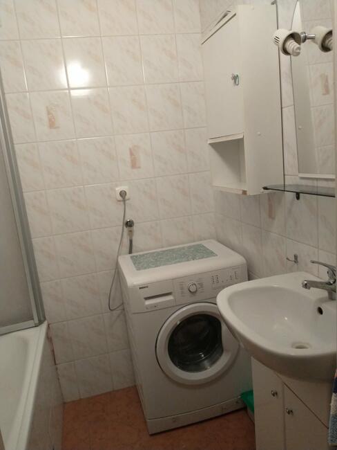 Pokój do wynajęcia, zadbany