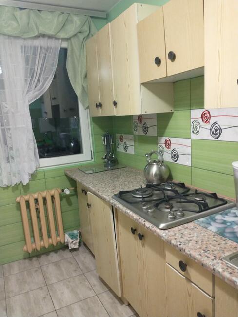 Pokój do wynajęcia, zadbany