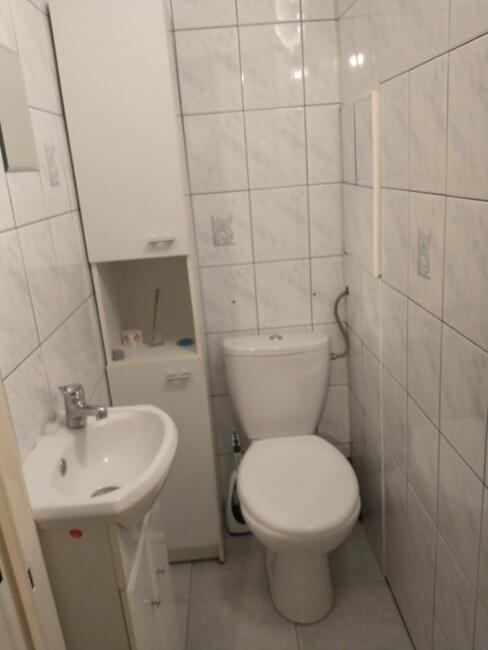 Pokój do wynajęcia, zadbany