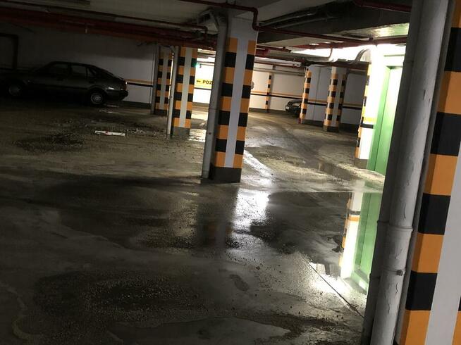 Sprzątanie po zmarłych zgonach samobójstwach Vector