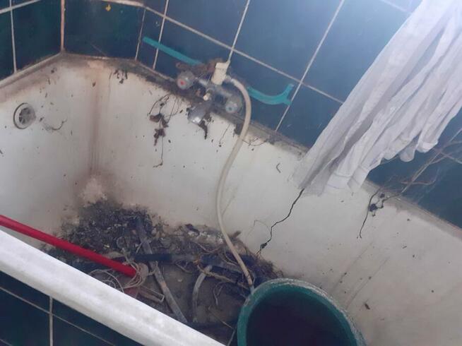 Sprzątanie po zmarłych zgonach samobójstwach Vector