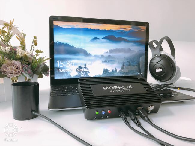 Biophilia Intruder NLS