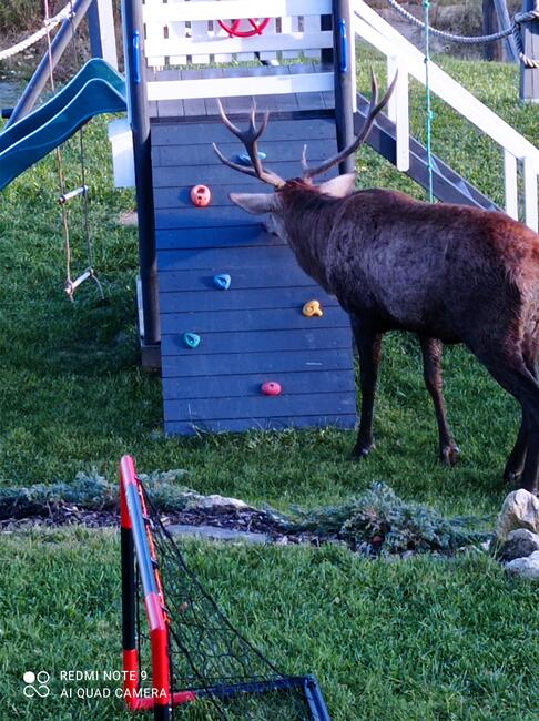 Domki na Skale Szklarska Poręba