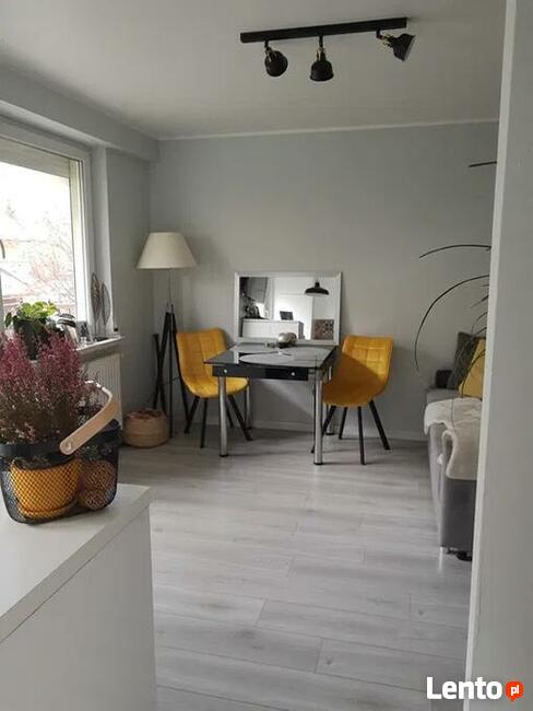 Mieszkanie nawynajem