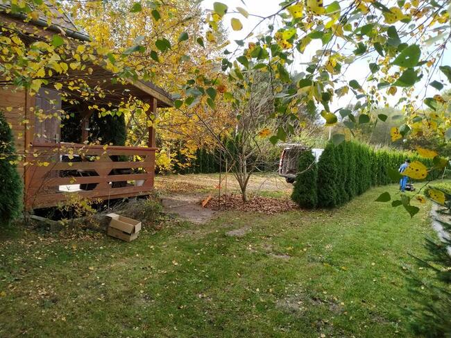 agroturystyka domek wynajem wakacje wędkarstwo