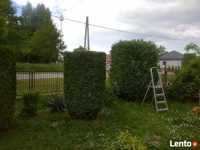 Kompleksowe utrzymanie terenów zewnętrznych(koszenie trawy,