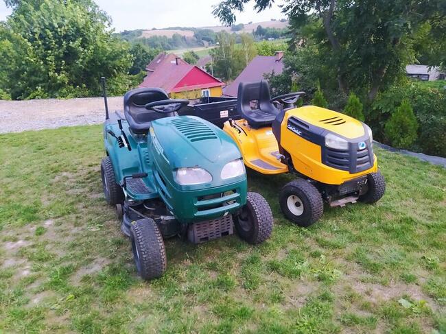 Kompleksowe utrzymanie terenów zewnętrznych(koszenie trawy,