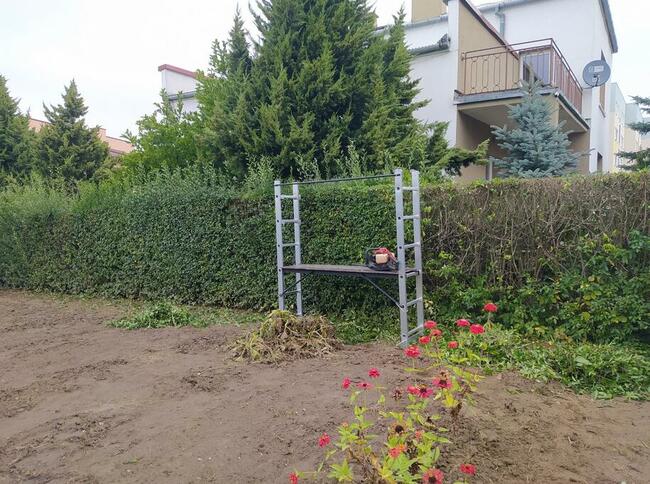 Kompleksowe utrzymanie terenów zewnętrznych(koszenie trawy,