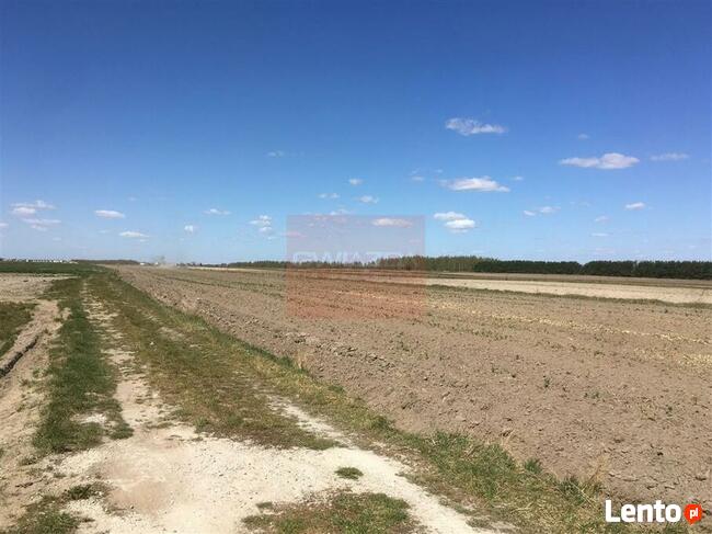 Działka Lesznowola