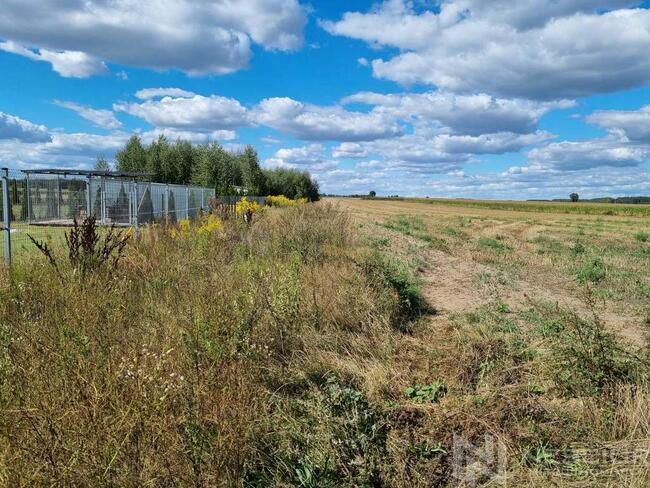 Działki 1000 m2 Borki Siedleckie ul Krótka