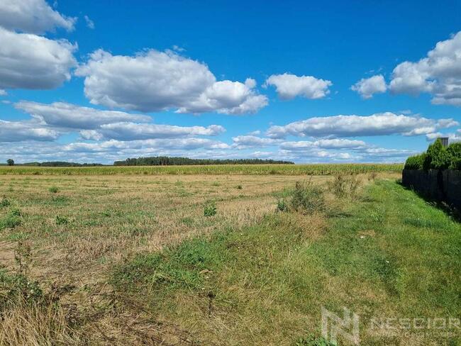 Działki 1000 m2 Borki Siedleckie ul Krótka