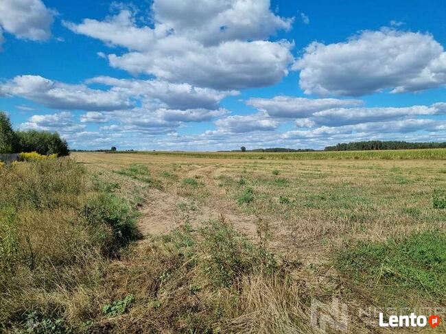 Działki 1000 m2 Borki Siedleckie ul Krótka
