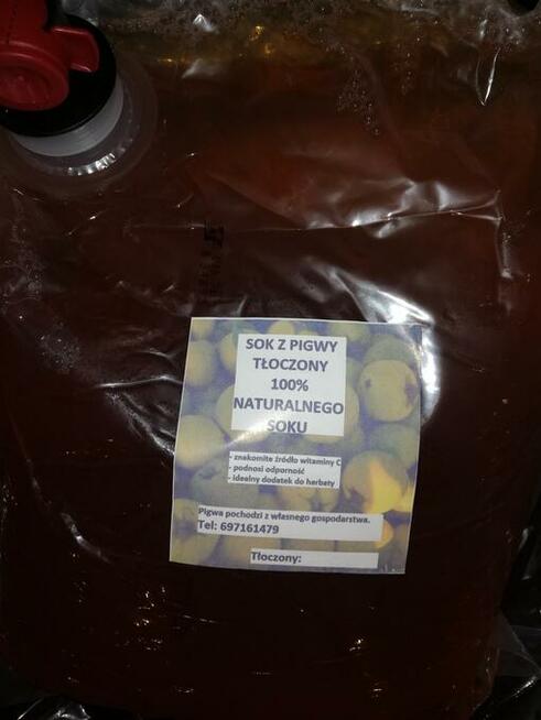 Sprzedam pigwe jabłkowa i sok z pigwa100%