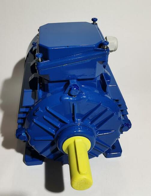 Prądnica trójfazowa wolnoobrotowa, generator 4,0kW, 750obr