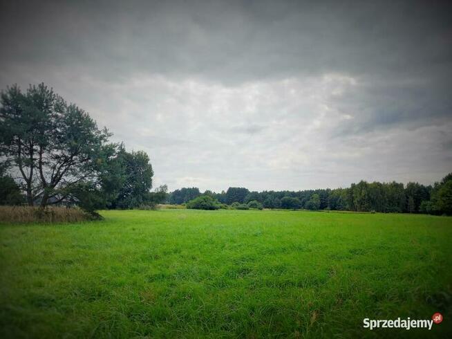 Działka budowlana na wzgórzu Malerzów