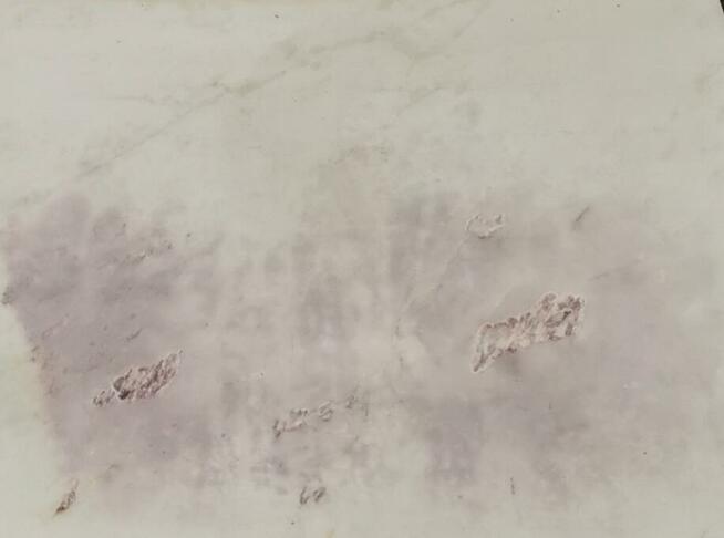 Płytki marmurowe BIANCO RHINO 80x80x2 poler