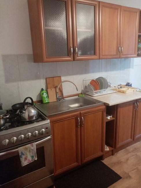 Wynajmę mieszkanie 55 m 2 dla firm