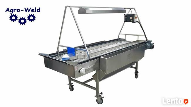AGRO-WELD, Stół selekcyjny rolkowy do cebuli ziemniaków warzyw