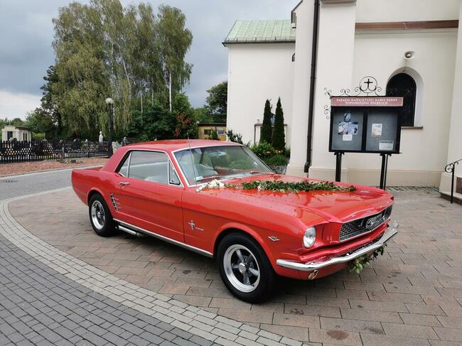 Mustang 1966 do ślubu