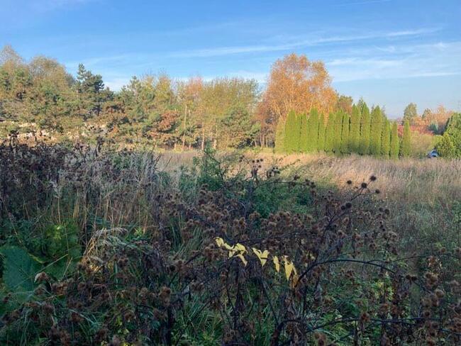 Działka budowlana w centrum Kaczyc na sprzedaż.