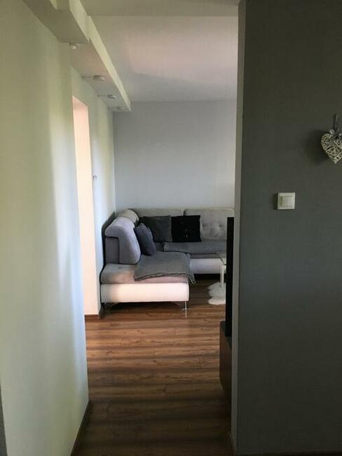 Zamienie mieszkanie ZBM na parterze 2 pokojowe na większe