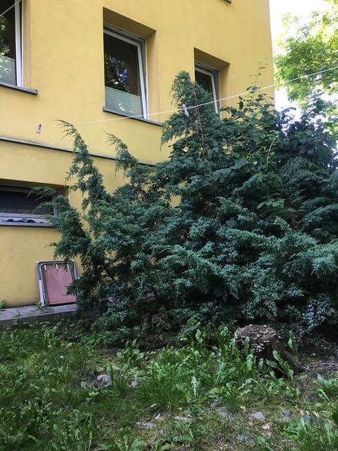 Zamienie mieszkanie ZBM na parterze 2 pokojowe na większe