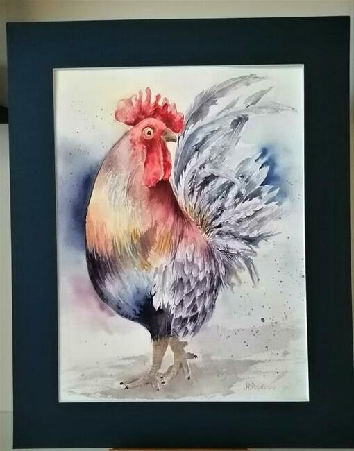 Akwarela 30x 40 Kogut