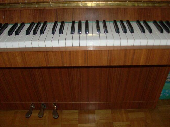 Pianino Calisia do sprzedania