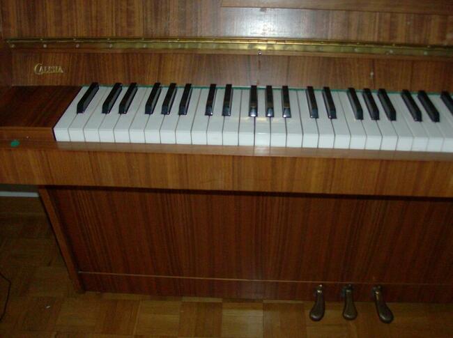 Pianino Calisia do sprzedania