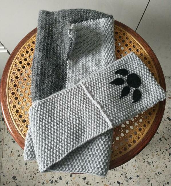 Dziecięca czapka Wilczuś