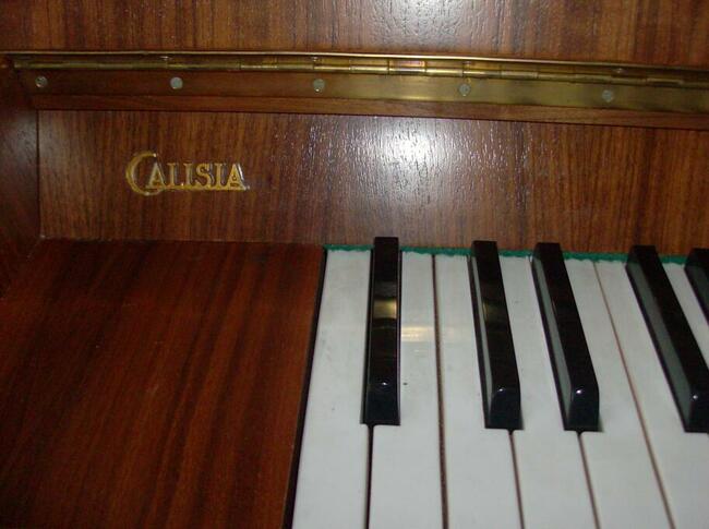 Pianino Calisia do sprzedania