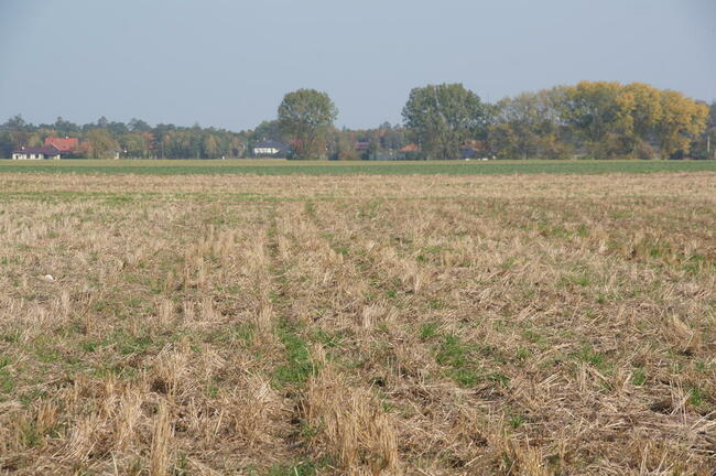 Sprzedam działkę 2 ha! Bez prowizji! WYJĄTKOWA OKAZJA!