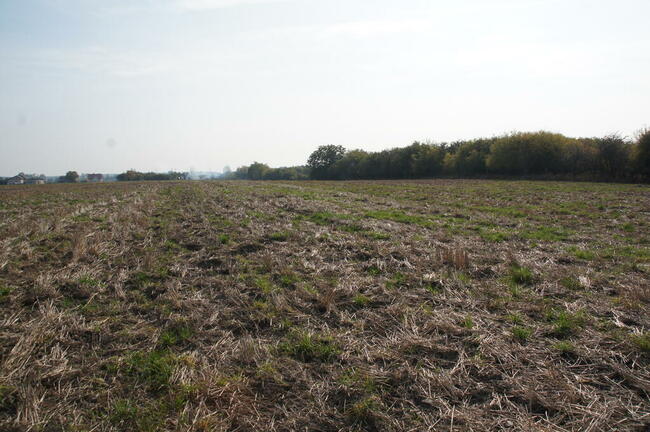 Sprzedam działkę 2 ha! Bez prowizji! WYJĄTKOWA OKAZJA!
