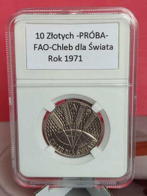 10zł 1971r. FAO - Chleb Dla Świata (Próba) w slabie.