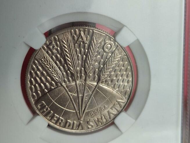 10zł 1971r. FAO - Chleb Dla Świata (Próba) w slabie.