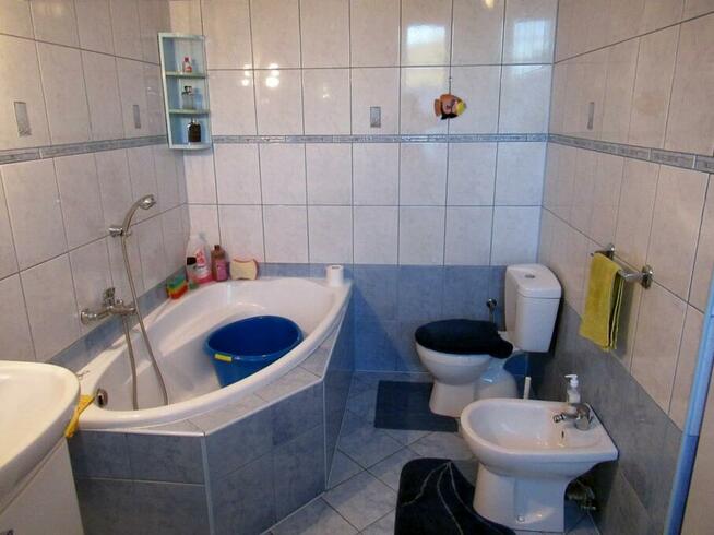 Dom 60 m2, duża działka 2800 m2 Rykoszyn