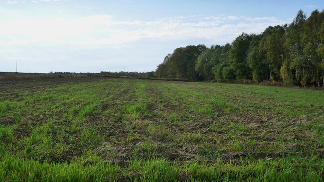 Dom Działka 1 ha gospodarstwo siedlisko rekreacyjna działka
