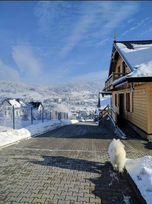 WYNAJEM DOMKÓW i APARTAMENTÓW!