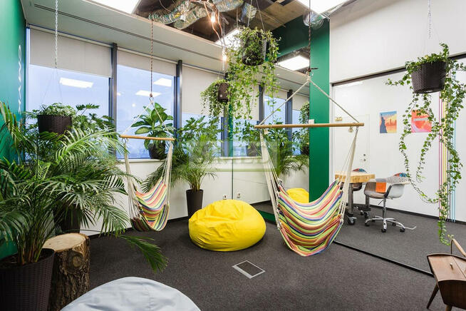 Profesjonalny biurowiec , recepcja , usługi Ochota