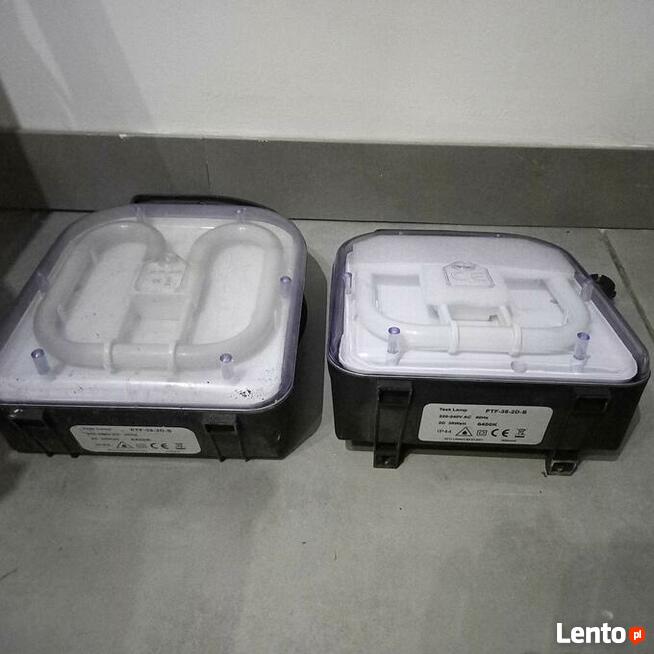 Lampy techniczne 2D 38W brytyjskie