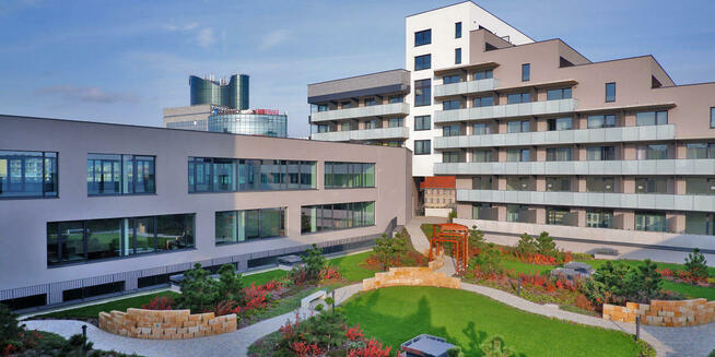 Kamień murowy rzędowy cięty łupany z piaskowca polskiego