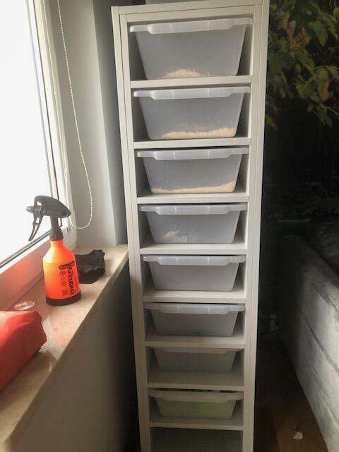 wykonuje rack system dla wezy