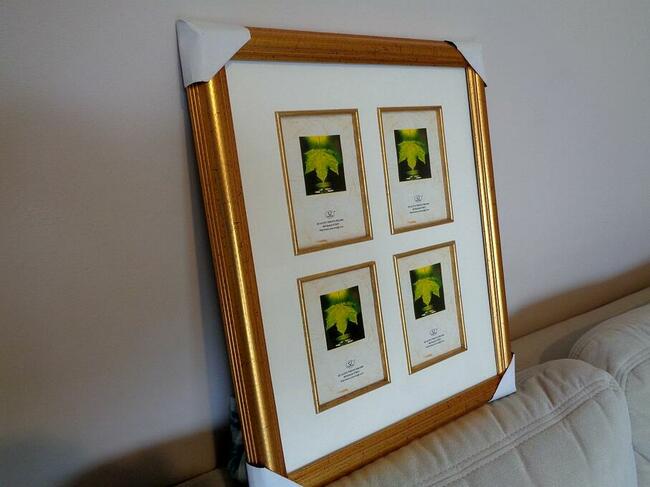 Ramka na cztery zdjęcia