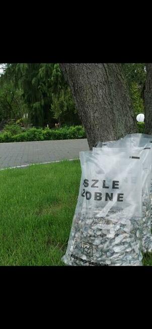 MUSZLE MORSKIE, OZDOBNE, OGRODOWE.NOWOŚĆ!