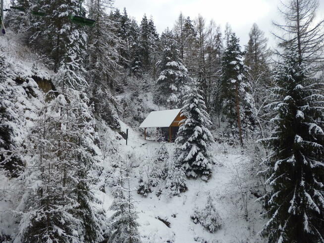 Ferie zimowe 2026- Góry- wolny termin dla grup