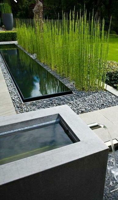 MUSZLE MORSKIE, OZDOBNE, OGRODOWE.NOWOŚĆ!