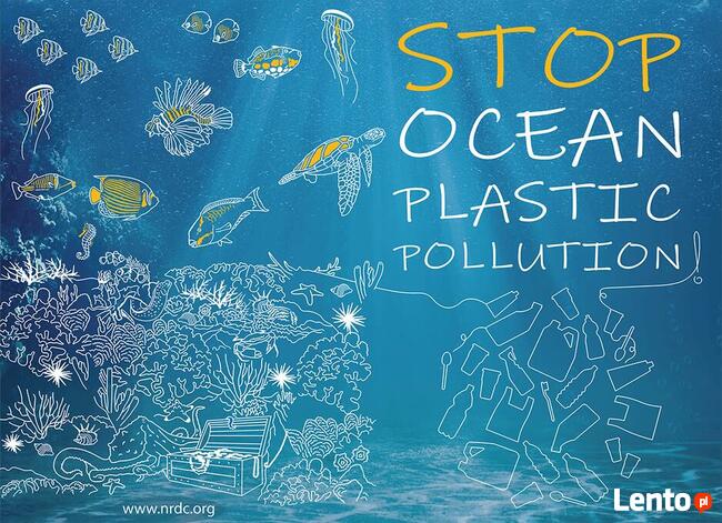 Grafik komputerowy (designer) - posty www, banery, wizytówki